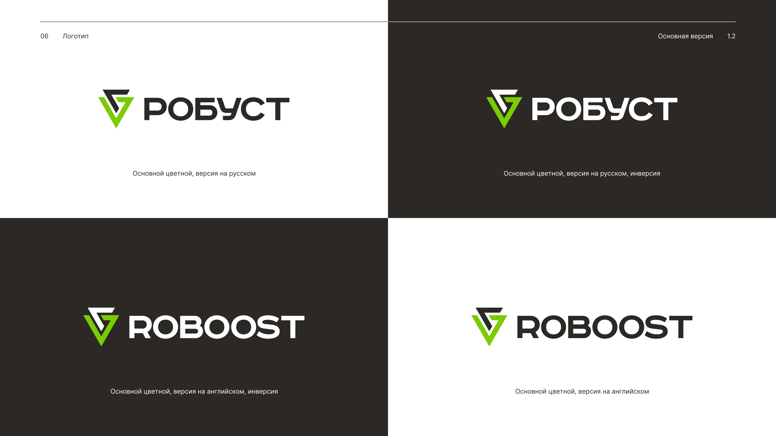 ROBOOST logo versions